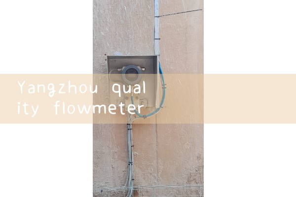 Yangzhou quality flowmeter manufacturer quotation